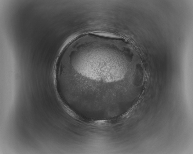 X0000112010054200908101350