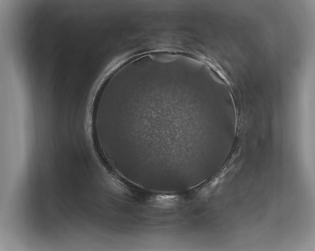 X0000112010055200908101350