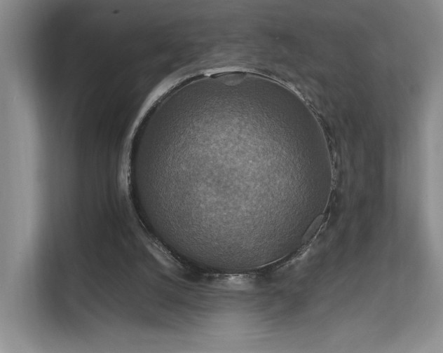 X0000112010056200908101350