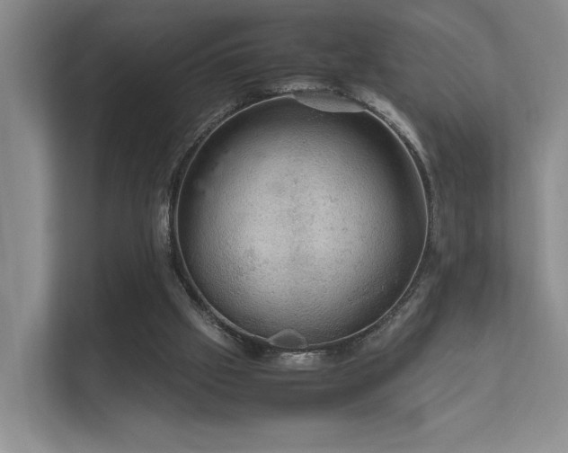 X0000112010057200908101350