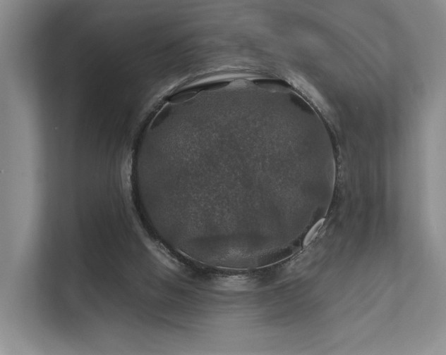 X0000112010058200908101350