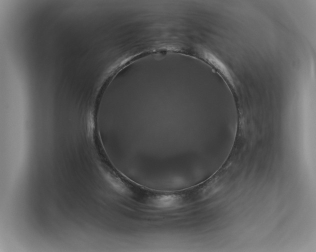 X0000112010059200908101350