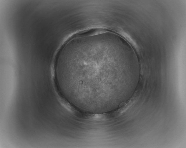 X0000112010060200908101350