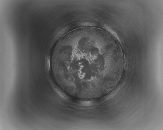 X0000112010061200908101350