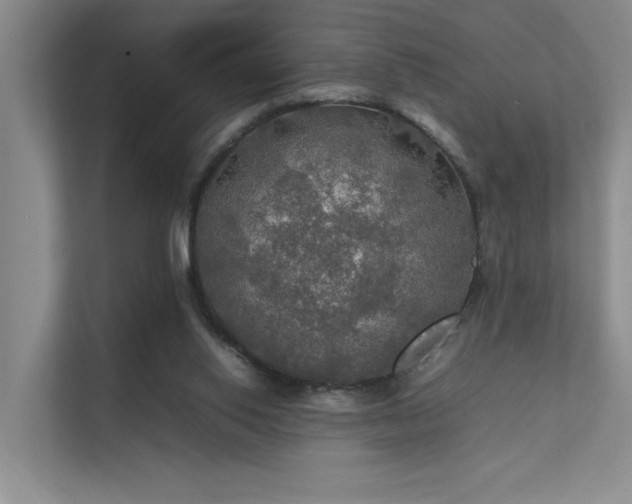 X0000112010062200908101350