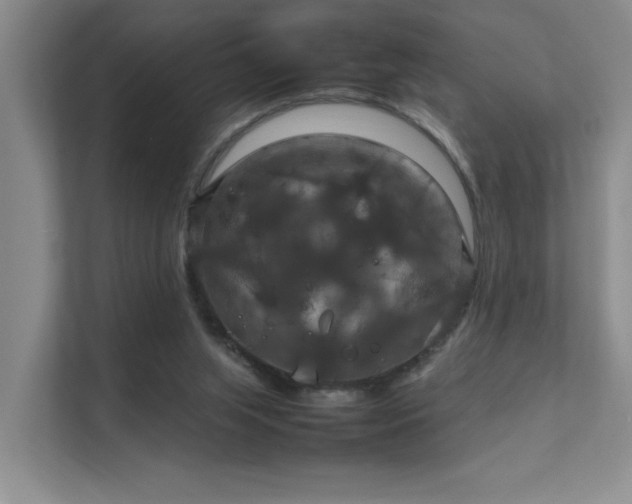 X0000112010063200908101350