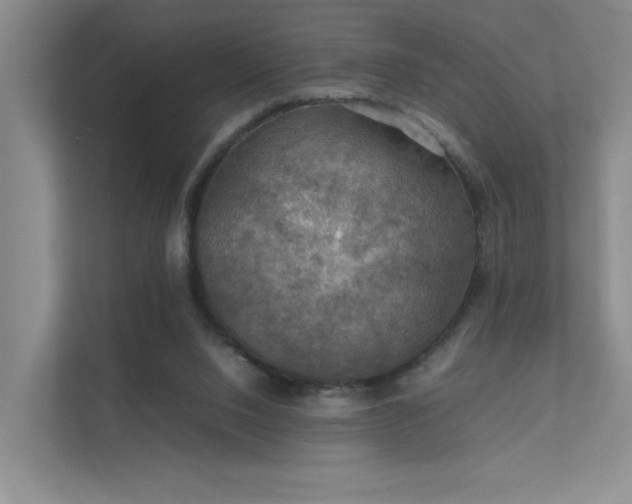 X0000112010064200908101350