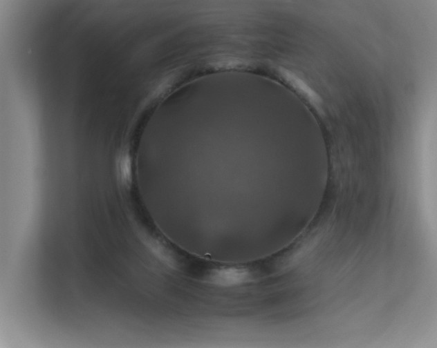 X0000112010067200908101350