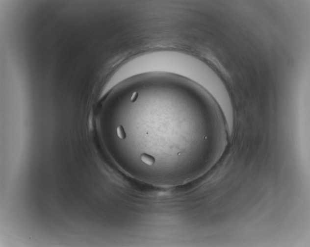 X0000112010068200908101350