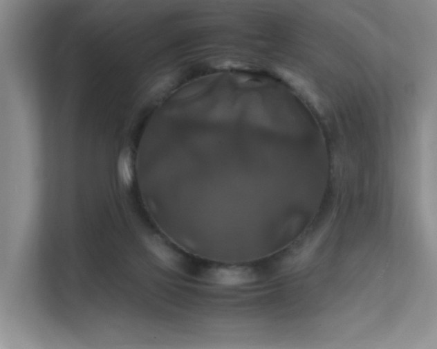 X0000112010069200908101350