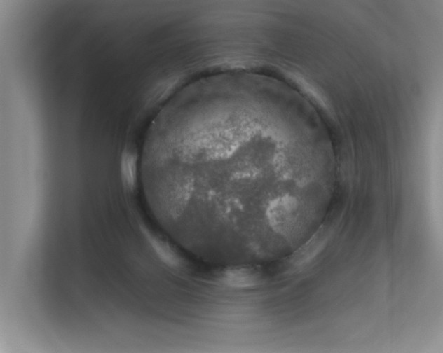 X0000112010070200908101350