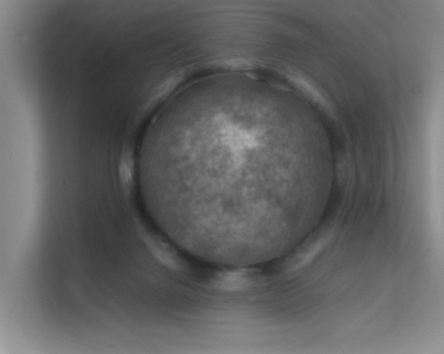 X0000112010072200908101350