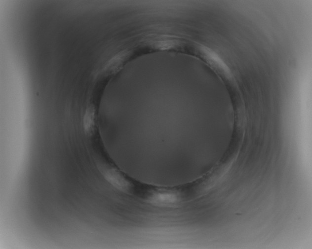 X0000112010073200908101350