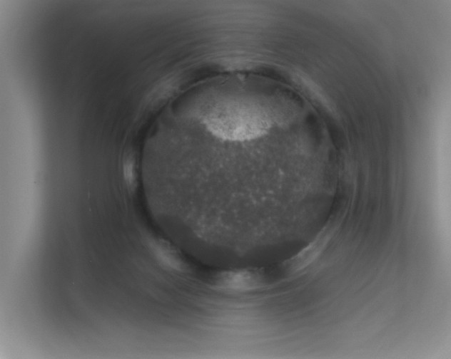 X0000112010074200908101350