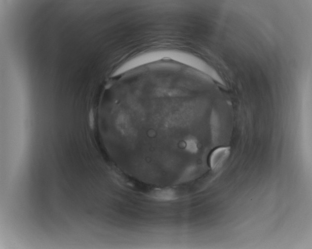 X0000112010075200908101350