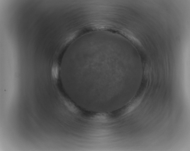 X0000112010076200908101350