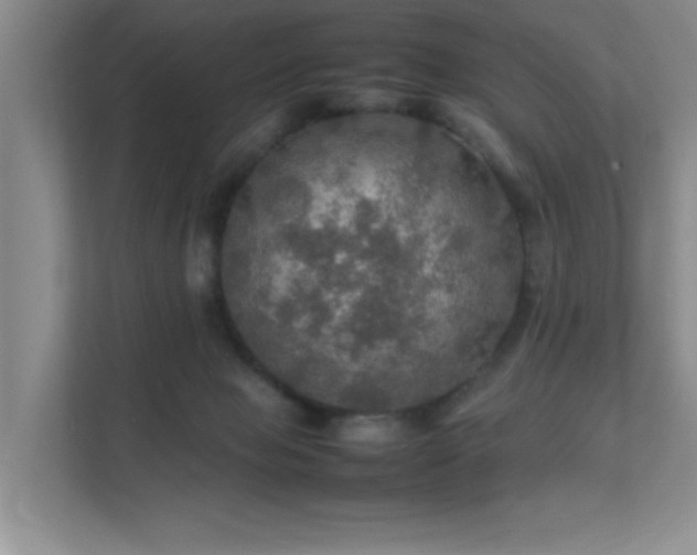 X0000112010077200908101350