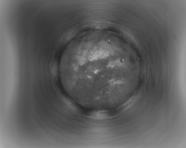 X0000112010078200908101350