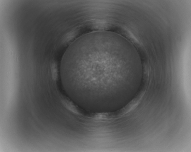 X0000112010080200908101350