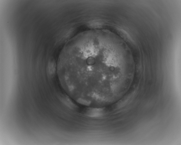 X0000112010081200908101350