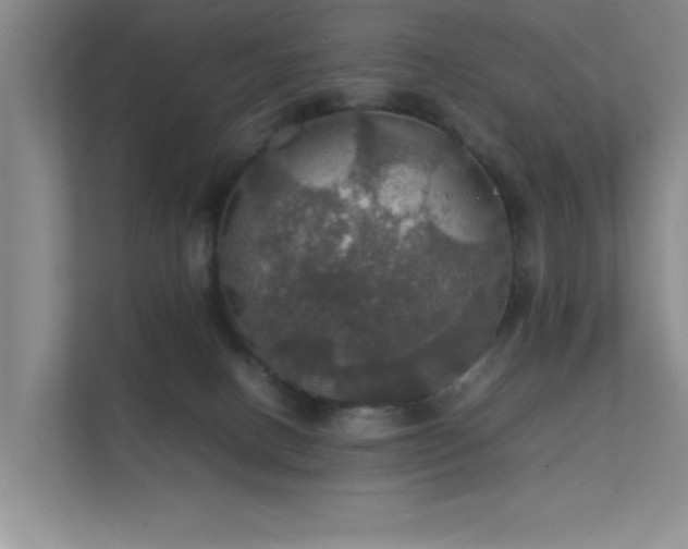 X0000112010082200908101350