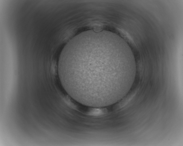 X0000112010083200908101350