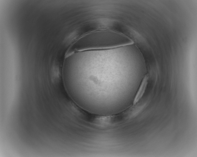 X0000112010084200908101350