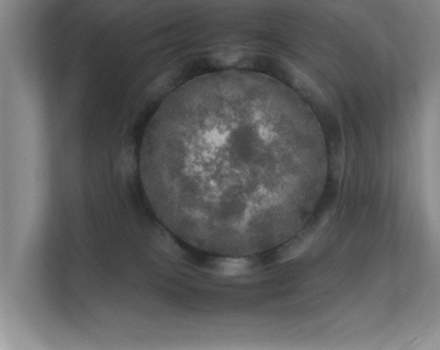 X0000112010085200908101350