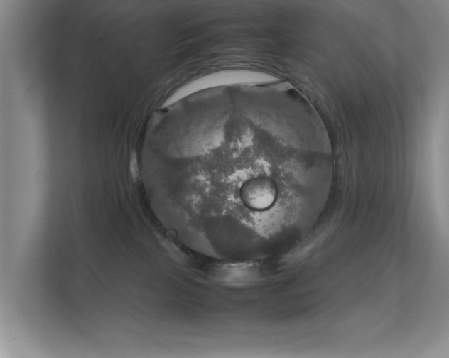 X0000112010089200908101350