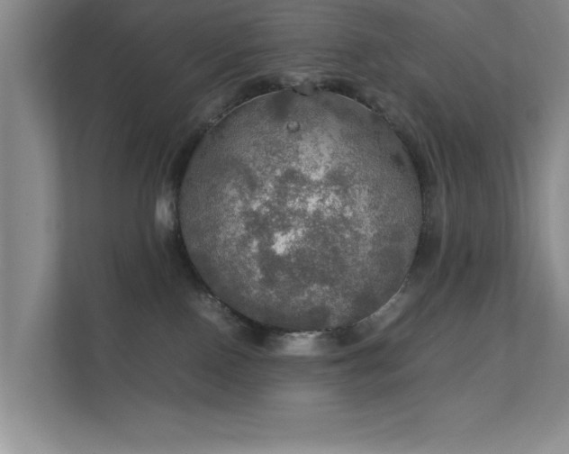 X0000112010090200908101350