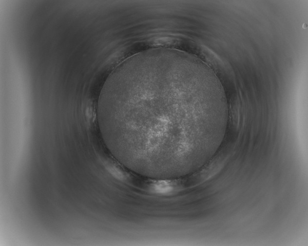 X0000112010091200908101350