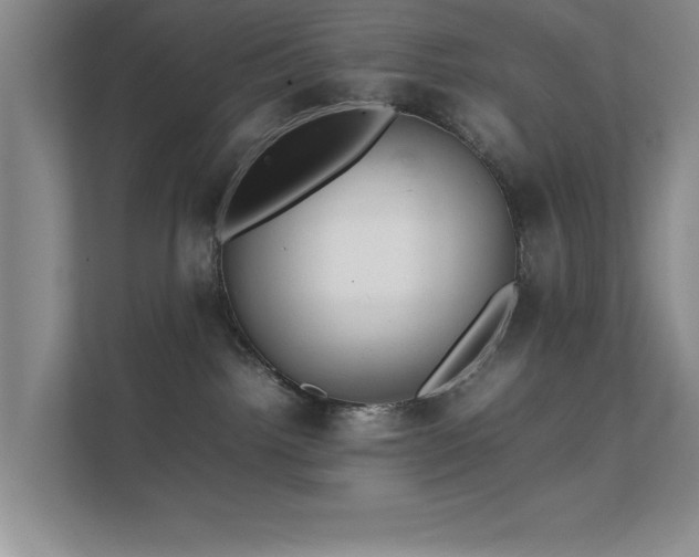 X0000112010092200908101350