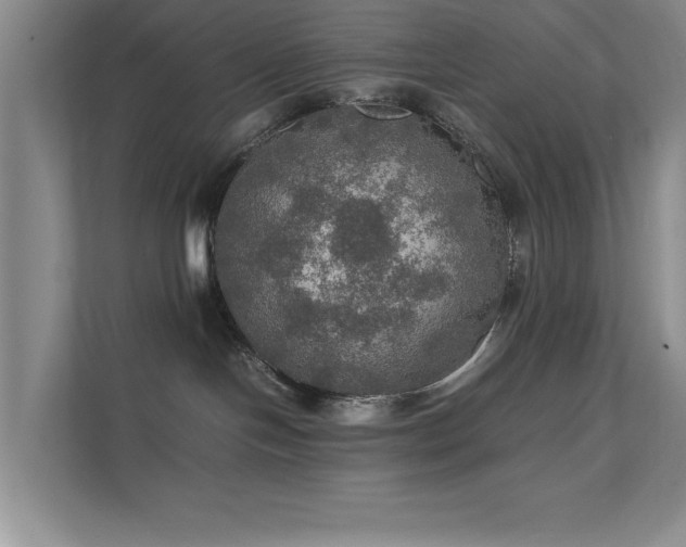 X0000112010094200908101350