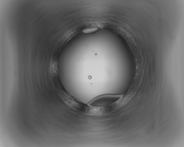 X0000112010096200908101350