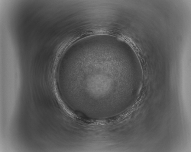 X0000112010097200908101350