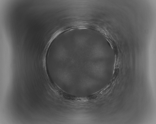 X0000112010099200908101350