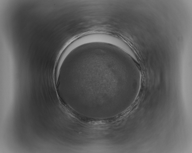 X0000112010100200908101350