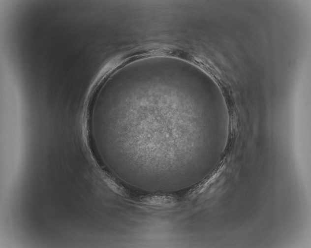 X0000112010101200908101350