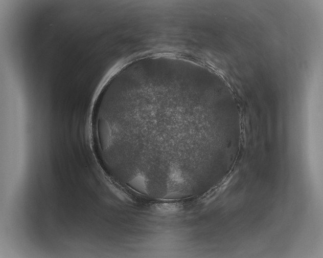 X0000112010102200908101350