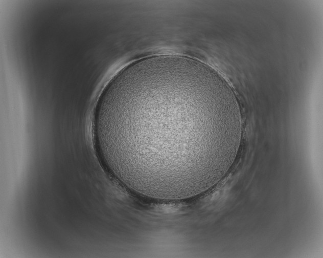 X0000112010103200908101350