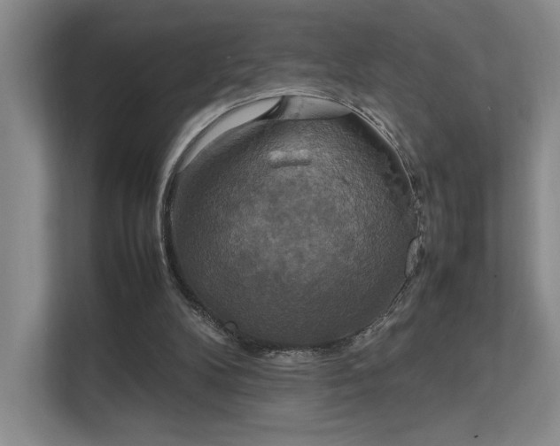 X0000112010104200908101350