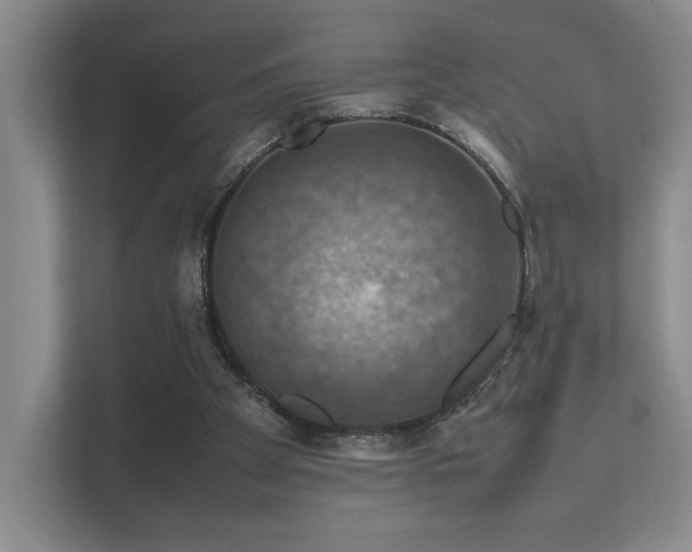 X0000112010105200908101350