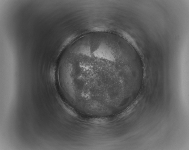 X0000112010106200908101350