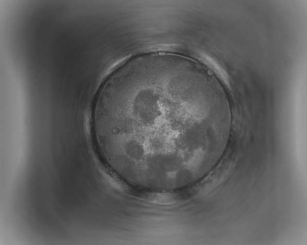 X0000112010107200908101350