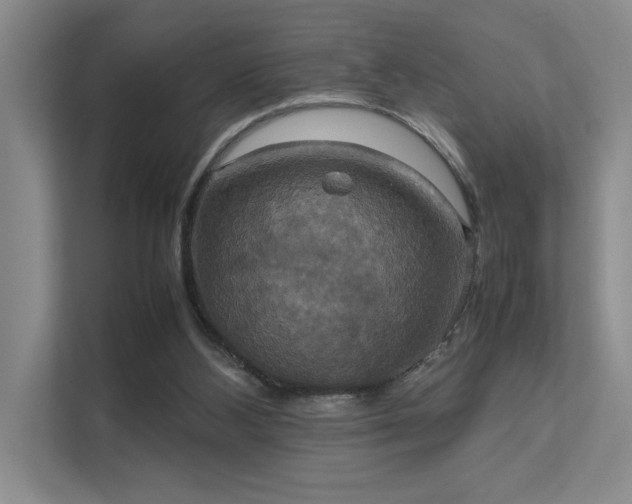 X0000112010108200908101350