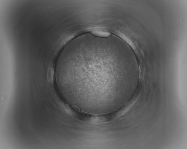 X0000112010109200908101350