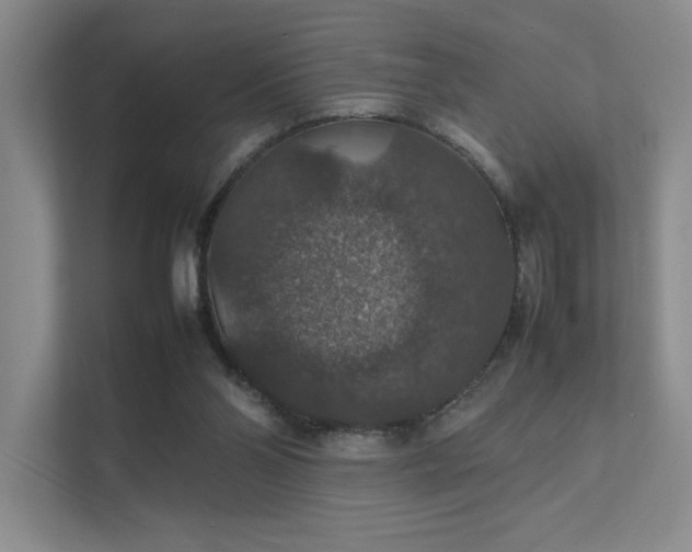 X0000112010110200908101350