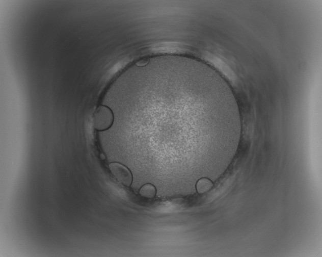 X0000112010111200908101350