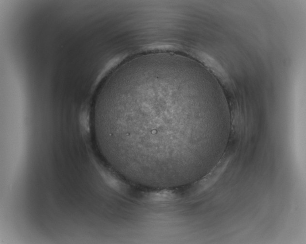 X0000112010112200908101350