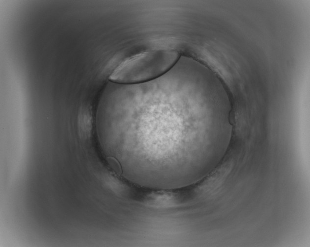 X0000112010113200908101350